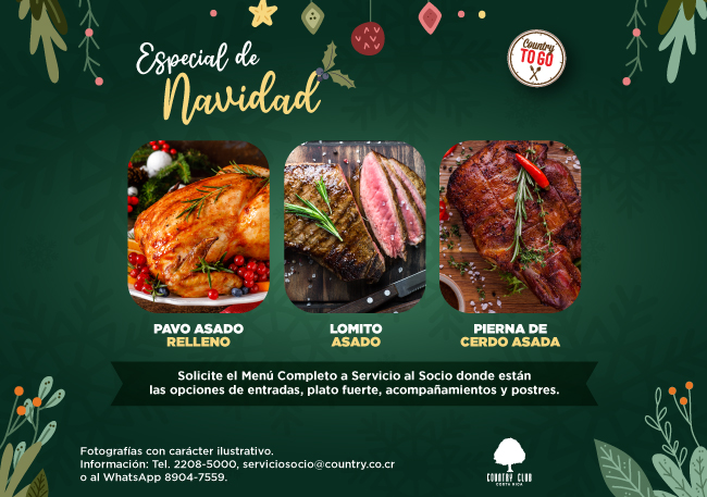 SLIDEcountrytogonavidad