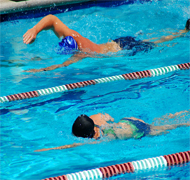 nataciontorneos