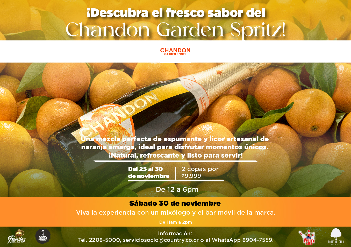 SLIDEchandon26NOV24