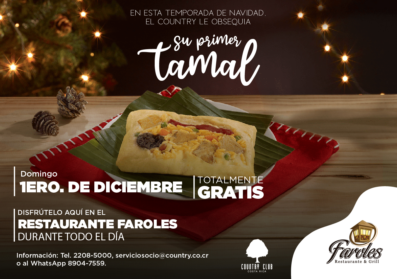 SLIDEtamal16NOV24