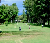 torneoindgolf