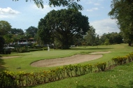 CAMPO DE GOLF