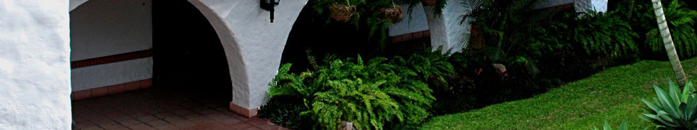 garden.jpg