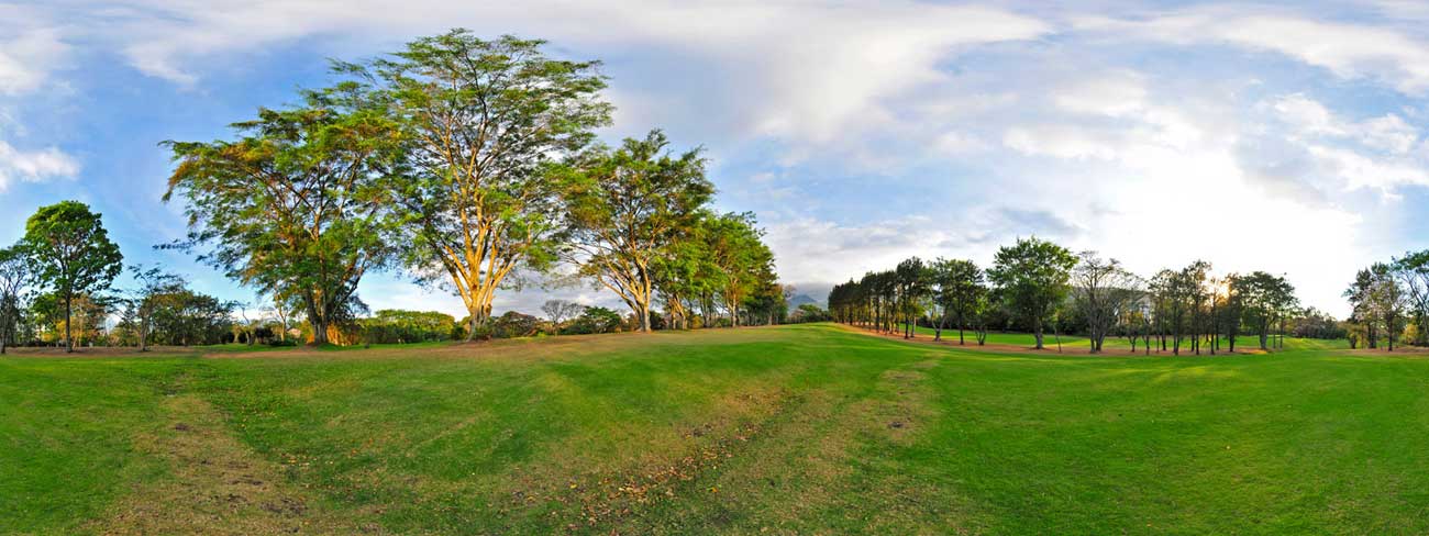 Golf : Áreas Deportivas