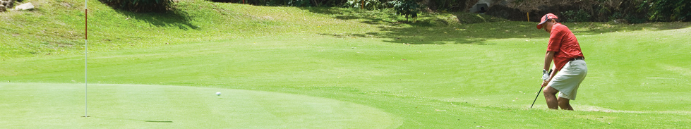 golf003.jpg