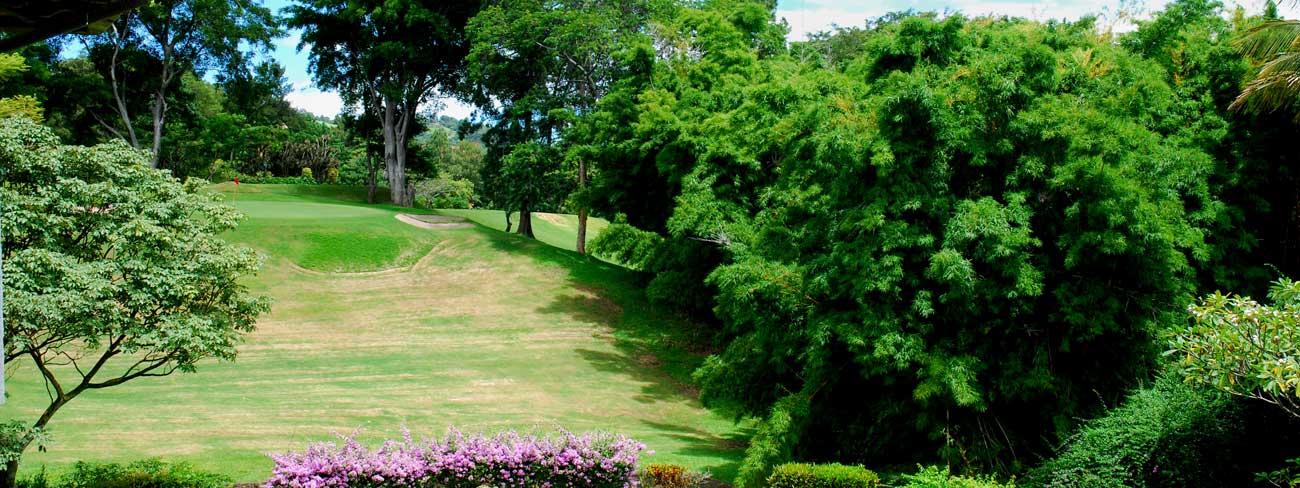 Golf : Áreas Deportivas