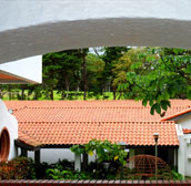 Pin Rojo Building