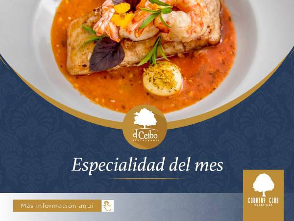 SLIDERCeiboEspecial3abril2019