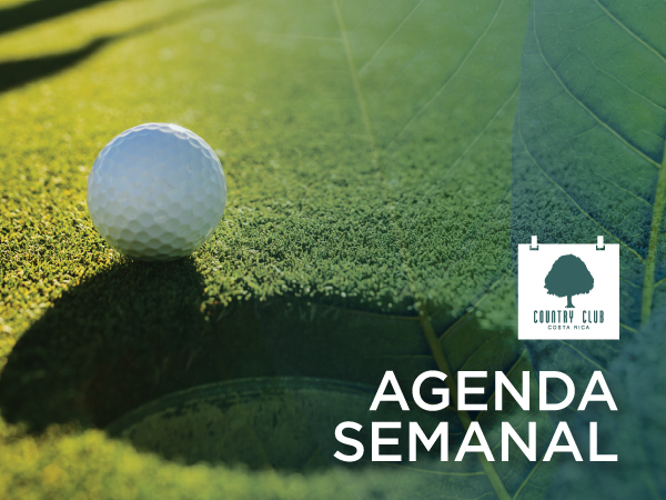 general26al2mayo2019
