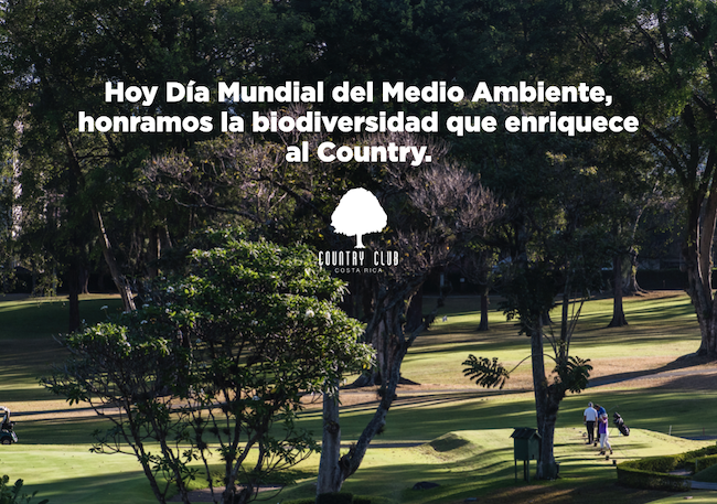 SLIDEdiamedioambiente03JUN24