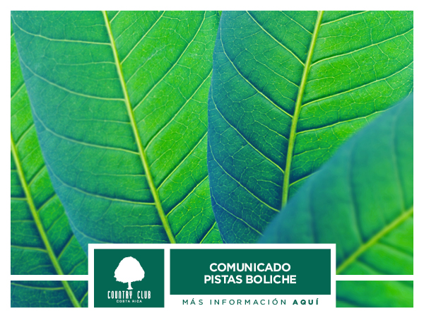 ComunicadoBolicheSliderNov13