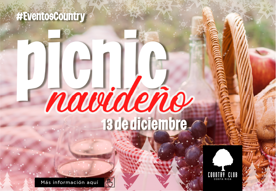 SLIDEWEBPICNICNAVIDENO12NOV2020