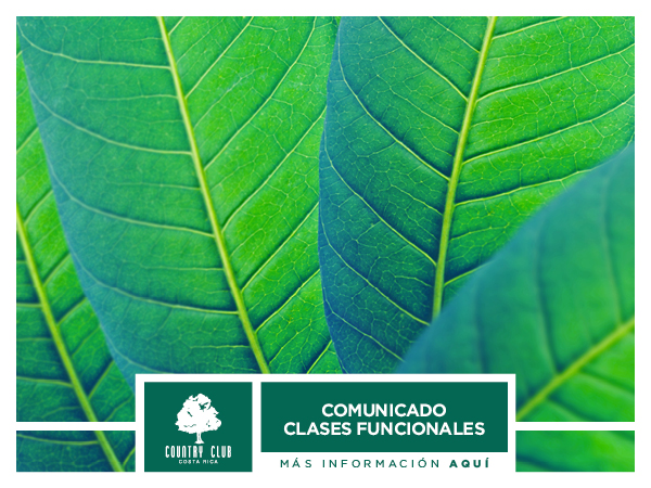 ClasesFuncionalesSlider12Oct2018