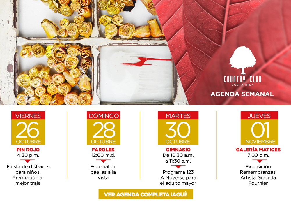 General26al1nov2018