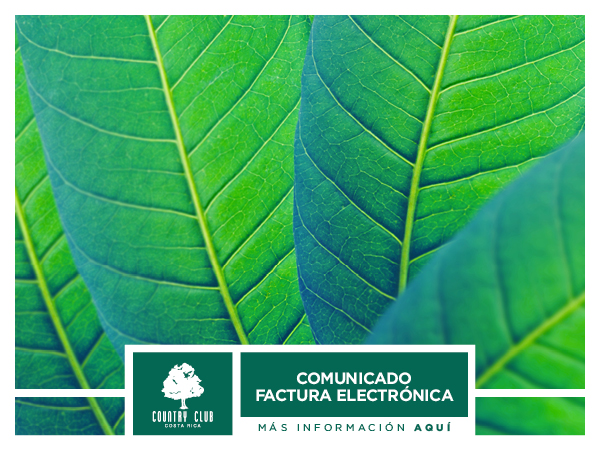 ComuFactura14set2018