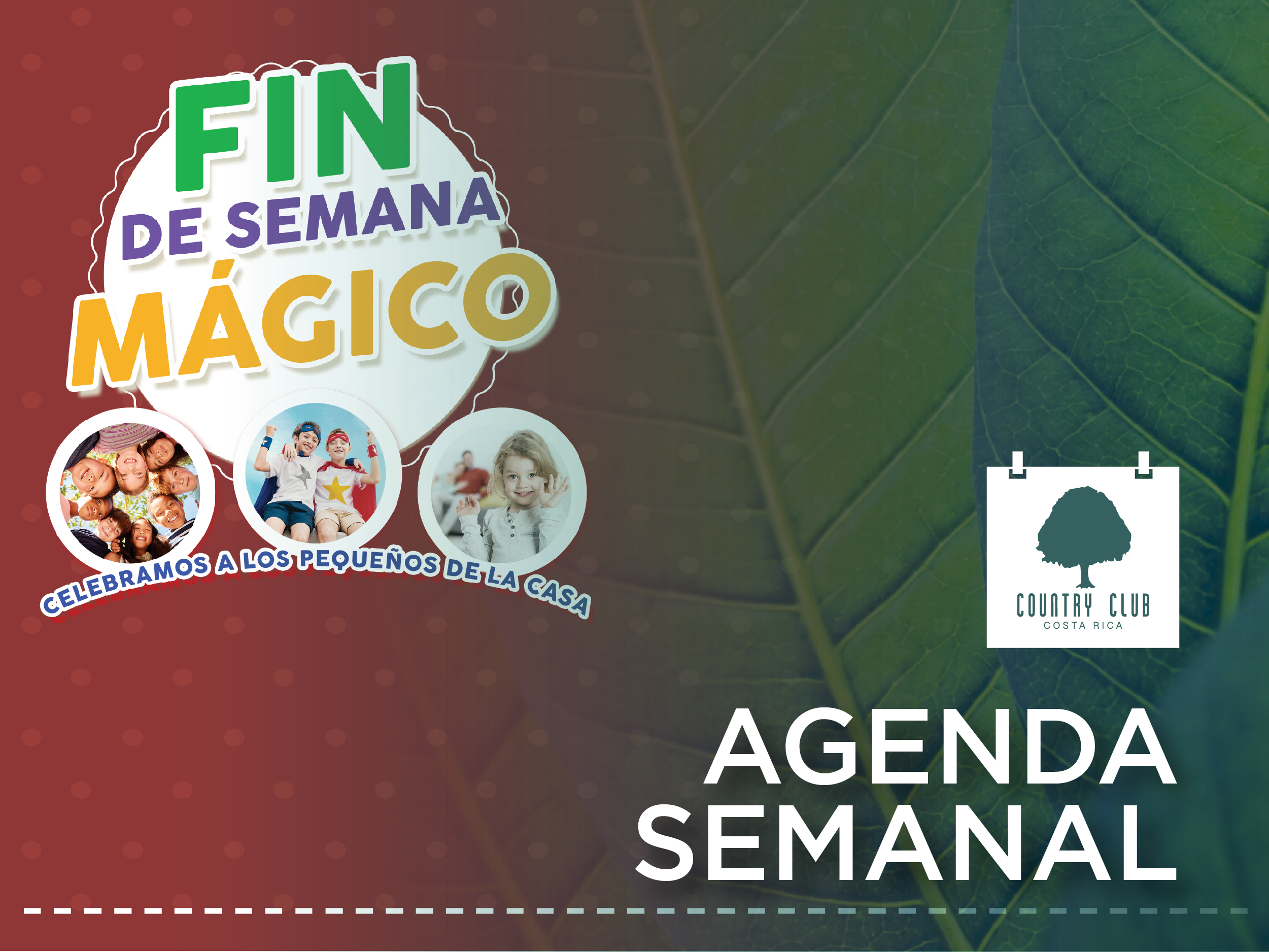 SLIDERGeneral6al12set2019