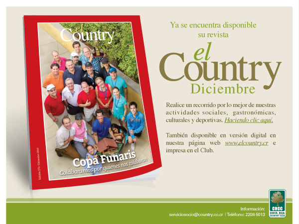 revistadic16dic2014