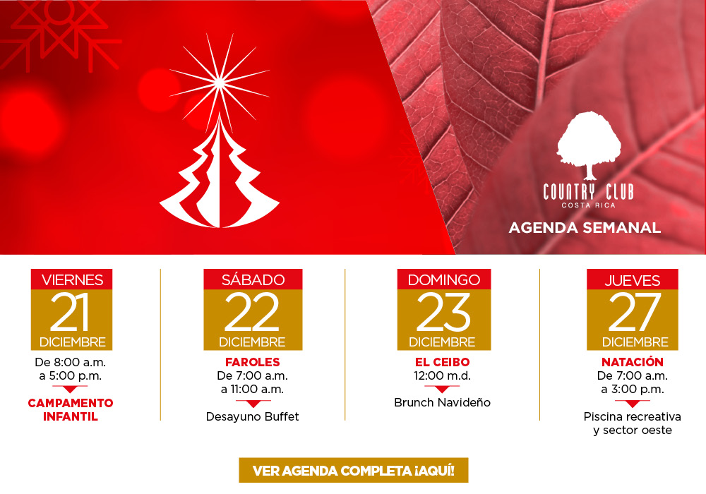 Agenda Semanal (11)