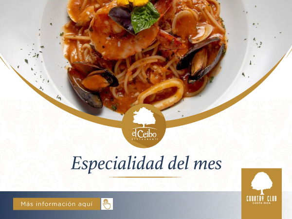 ESPECIALMESCEIBO4feb2019